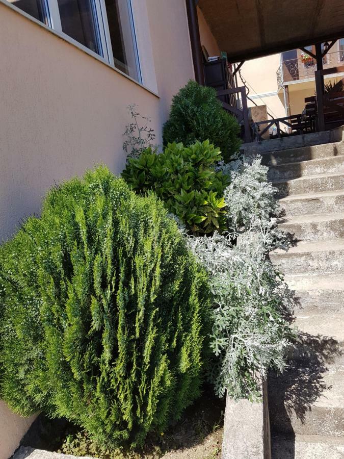 Hotel Samida New Athos Zewnętrze zdjęcie